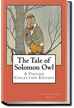 The Tale of Solomon Owl | Arthur Scott Bailey